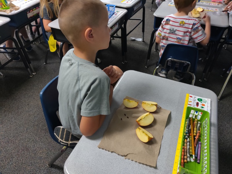 Arlington Public Schools Kindergarten Students Explore an Apple with